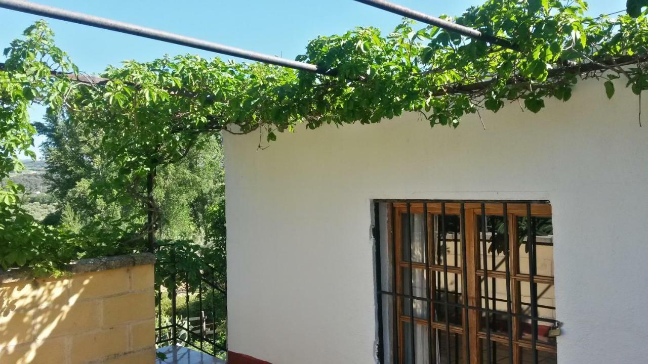 Apartamento Rural Cristi Ronda Extérieur photo