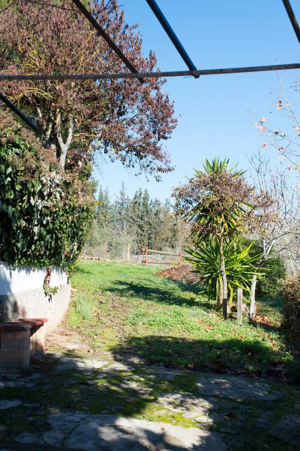 Apartamento Rural Cristi Ronda Extérieur photo